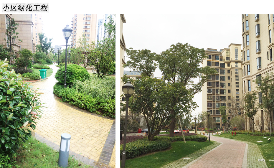 小区绿化工程