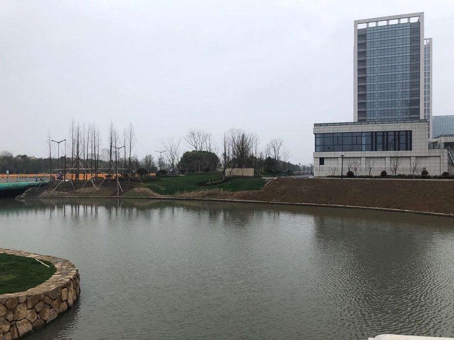千岛中央商务区入口绿化提升改造及河道疏通工程