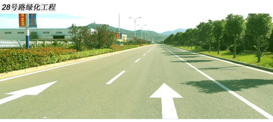 28号路绿化工程